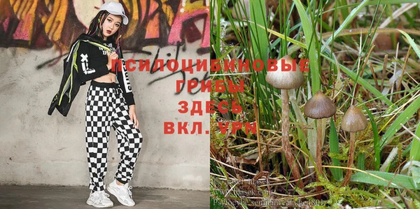 МДМА Лабытнанги