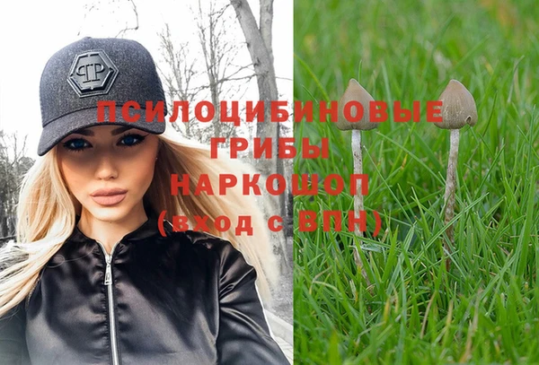 марки lsd Лагань