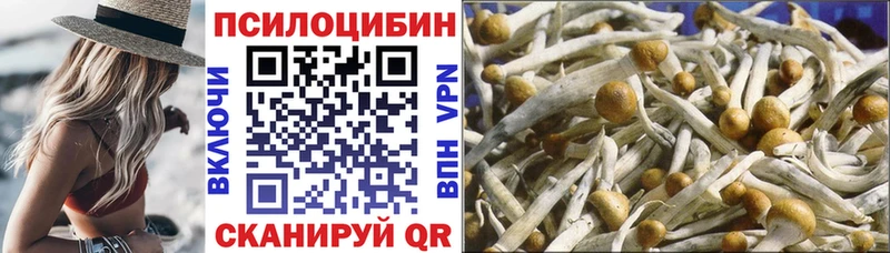 Псилоцибиновые грибы мицелий  Ревда 